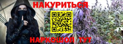 шишки Шелехов