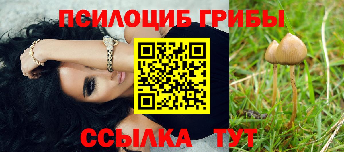 Псилоцибиновые грибы Cubensis Батайск