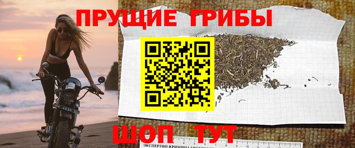 Батайск  Галлюциногенные грибы GOLDEN TEACHER  Вход с VPN 